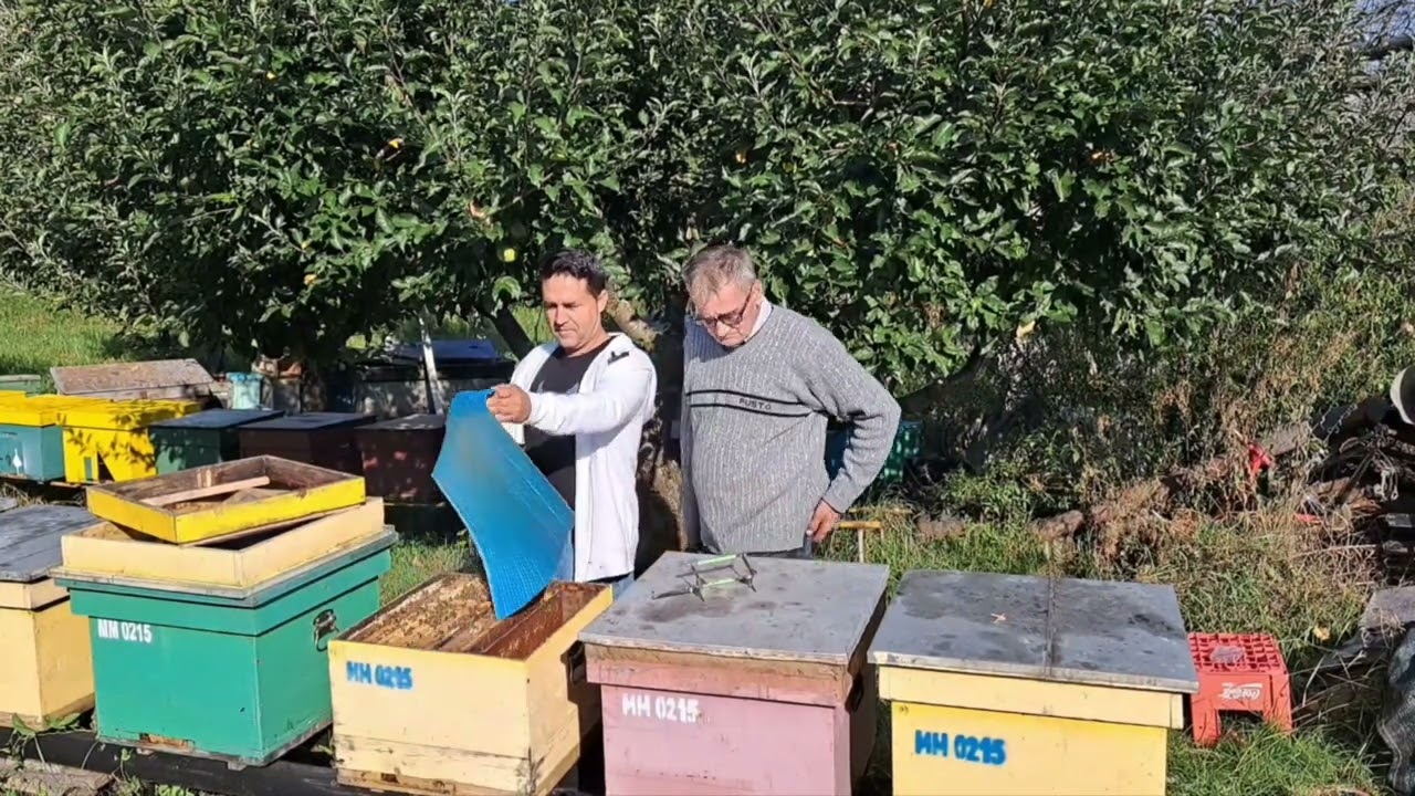 În stupina prietenului meu Ioan Munteanu🐝🐝🐝