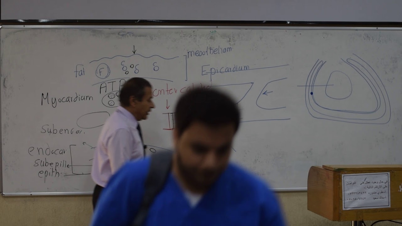 Histology- histology of the CVS - Prof.wagih - Part 1