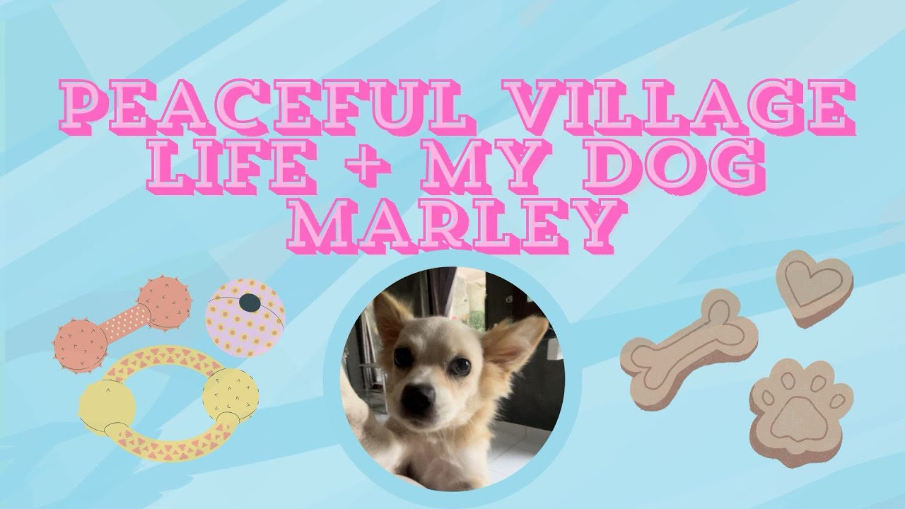 My Morning Routine in Bali 🌴 | Quiet Village Life with My Dog Marley 🐾