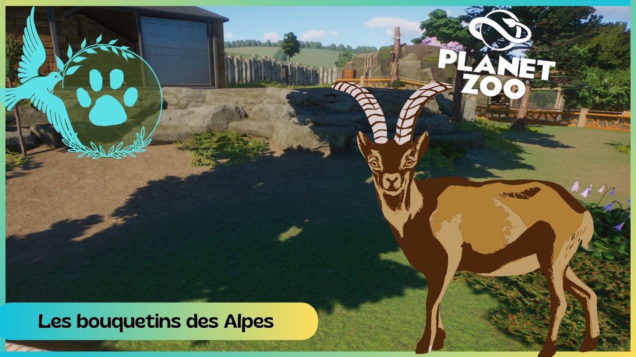 Planet Zoo SpeedBuild - BoParc #87 Vue sur les Bouquetins des Alpes