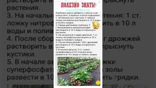 ПОЛЕЗНО ЗНАТЬ! Советы огородников №21 #shorts #советы #рецепты