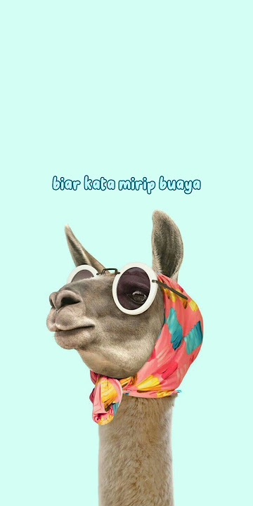 i love bibeh the Changcuters story wa #shorts #musik #feed #story #lyrics  #lirik #viral #lagujadul
