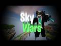skywars but with 40 noobs
