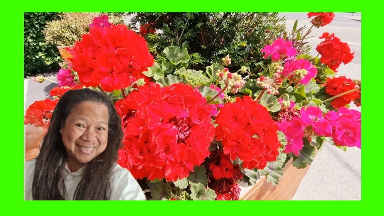 AMAZING LEARN THE VALUE HOW TO PLANT FLOWERS IN FUTURE BEAUTIFUL AND amazing-learn-the-value-how-to-plant-flowers-in-future-beautiful-and