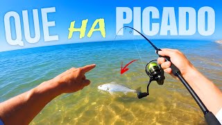 ¡NUNCA VI ESTE PEZ! 🔥 SPINNING y ROCKFISHING desde playa | PESCANDO en PRIMAVERA al AMANECER