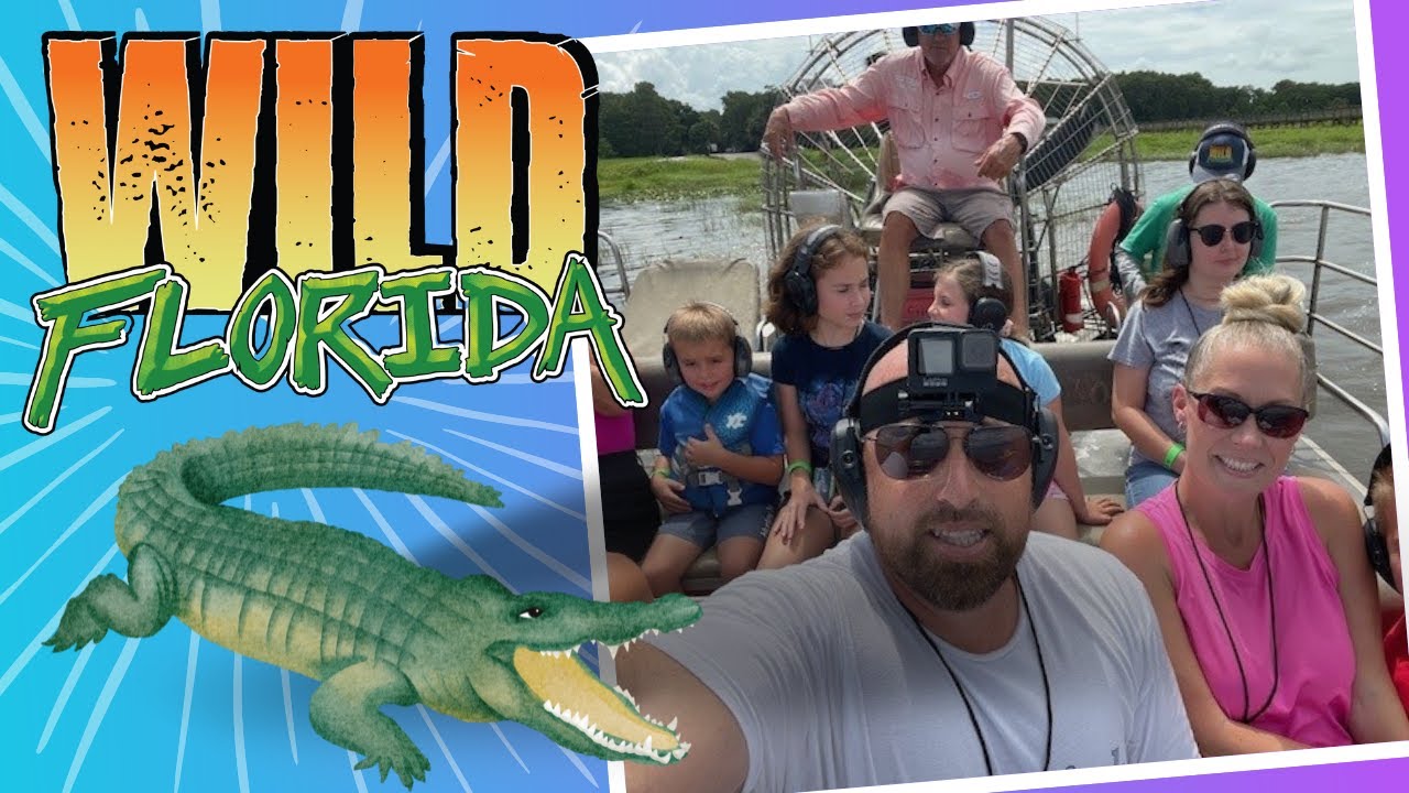 🐊Experience Wild Florida: Airboat Tours, Gator Encounters, and More! 🌴🦅 ...