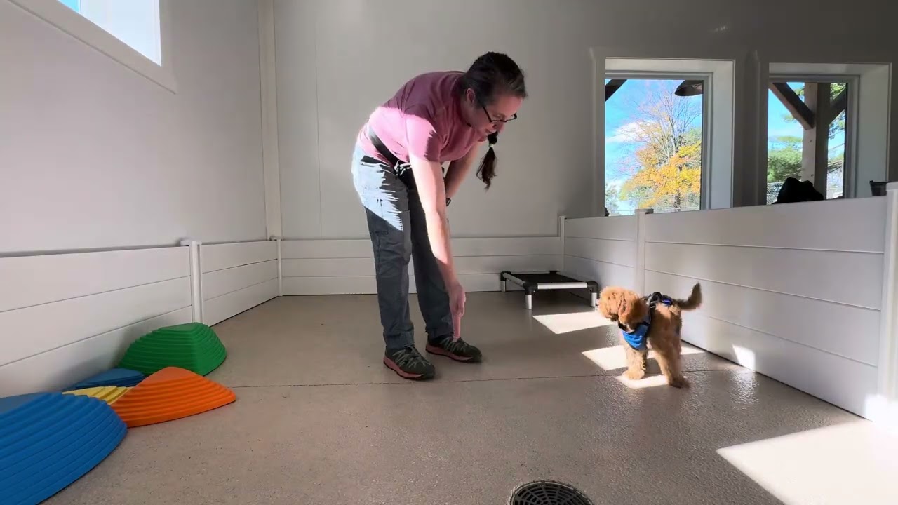 Griffin Training Session 10/29