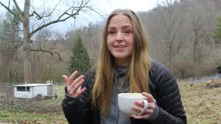 Q&A With A Solo Homesteader - Homesteading With A Fulltime Job | Homesteading By Yourself