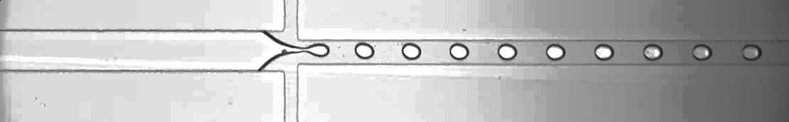 PMED: Cellular Packaging Component