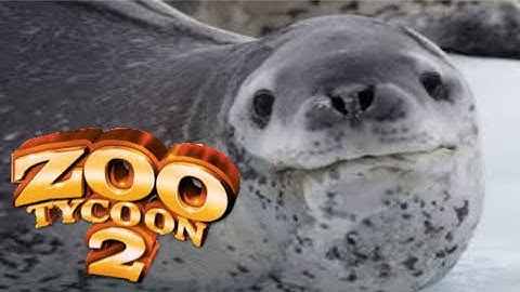 Leopard Seal Zoo tycoon 2 Exhibit Speed Build