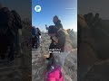 Palestinians return to North Gaza after forced displacement by Israeli aggression