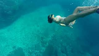Bikini Snorkeler Diving In Hawaii