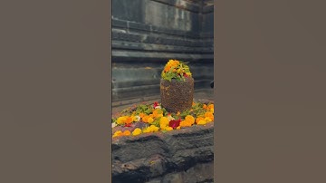 Har Har Mahadev ☘️ | Shravan Somvar Status #shravan #mahadev #shorts