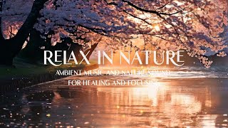 Cozy Ambient Music for Relieving Stress, Deep Meditation, Relaxation and Focusing