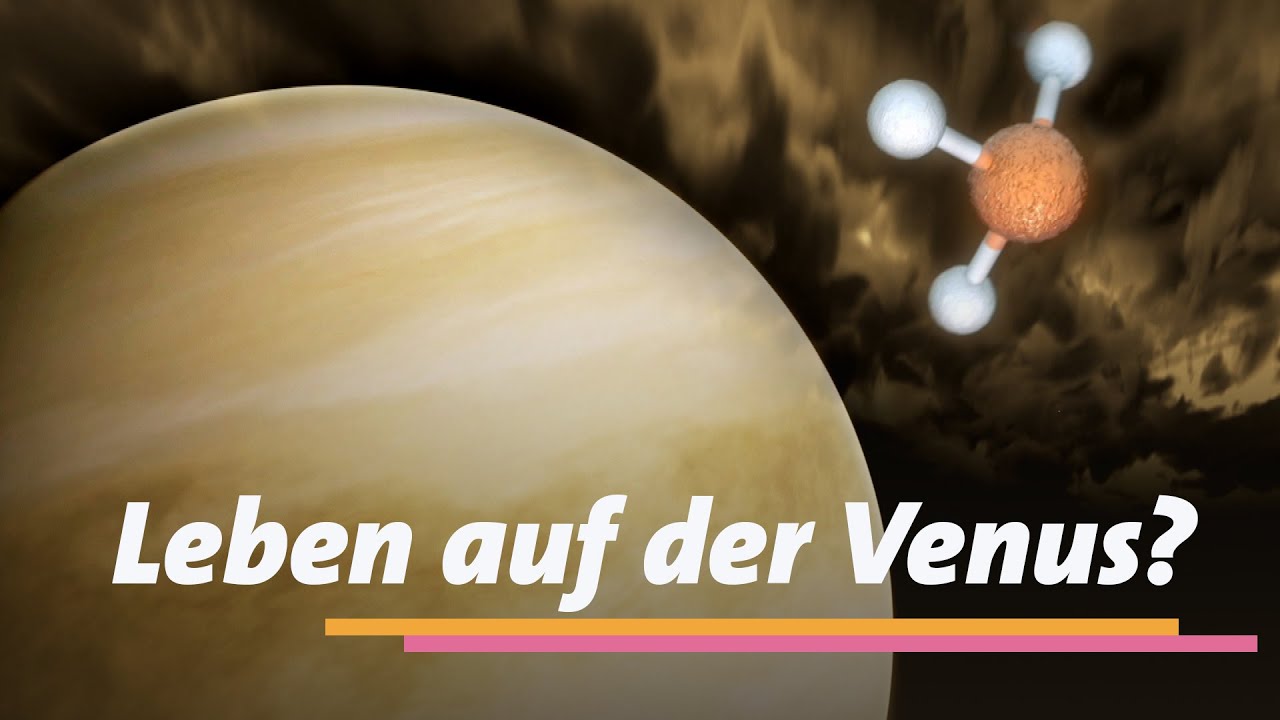 Außerirdisches Leben auf der Venus?