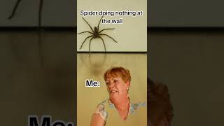 🏃💨💨 #meme #spider #outofhere #Icant #screaming #movingaway