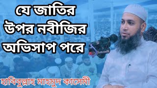 যে জাতির উপর নবীজির অভিসাপ পরে। হাবিবুল্লাহ মাহমুদ কাসেমী। new waz bangla. সাতারপুর