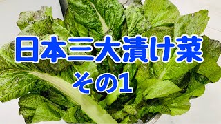 【漬物レシピ】一緒に学びませんか？ なかなか売ってないけど何にでも合う！