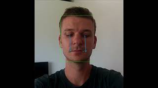 Gaze Tracking Demo On Hawkeye