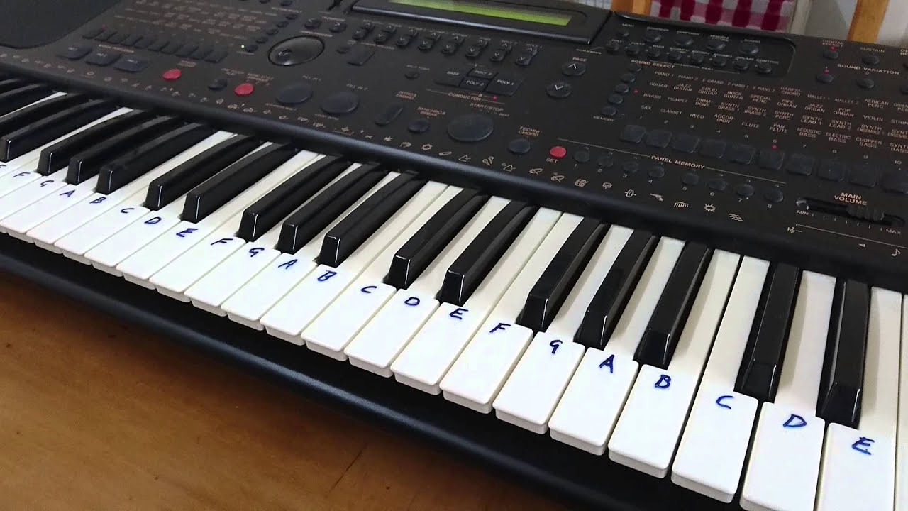 Alestorm - 1741. Main Riff on keyboard.