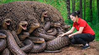 Harvesting Ghost Anaconda BeeHive \u0026 Go to Market Sell | Grilling giant snakes nest to eat
