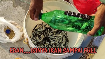 REKOR DUNIA,UMPAN HANYA SATU TUTUP BOTOL AJA,,DAPATNYA IKAN JUTAAN,,, TRADISIONAL fishing