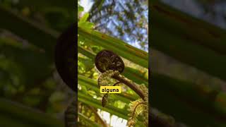 The Challenges Of Testing In The Face Of Ai