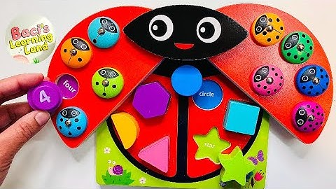 Learn Numbers to 10, Colors and Shapes | Ladybug Puzzles: Dots, Words, and Numerals Fun for Kids!