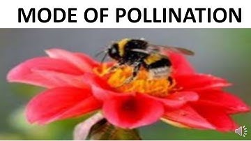 MODE OF POLLINATION
