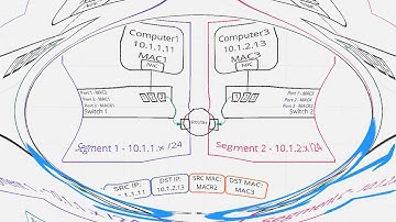 End-to-End Packet Walk: Layer 2 & Layer 3 Addressing in Action (Networking Basics)