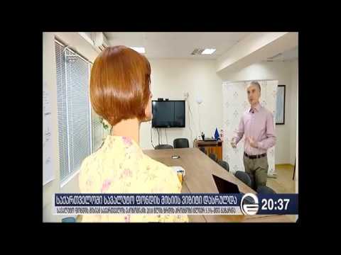 საერთაშორისო სავალუტო ფონდის მისიის ვიზიტი - მიხეილ კუკავა