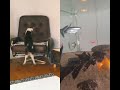 Fish vs Funny dog !! #petanimals #funstore #funny #viralanimls #funnyanimals #dogs #trending