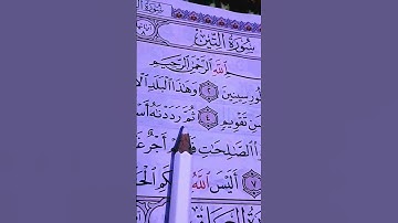 سورة التين والزيتون _الشيخ سعد الغامدي
