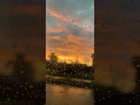 Things To Do Alex G 1hour No Ads 