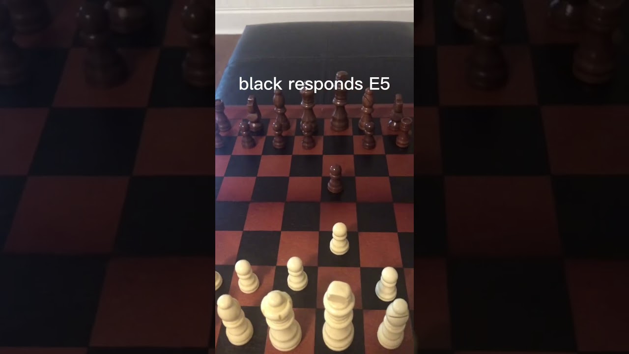 How to play the Wayward Queen Attack in chess!