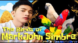 The Birds of Mark John Simbre