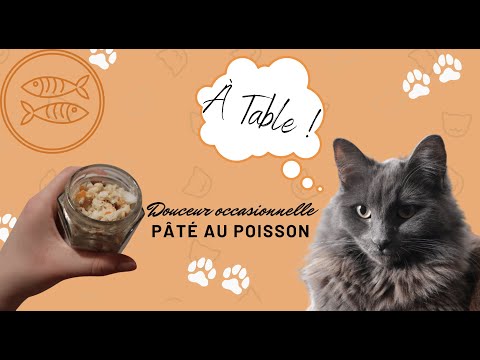 Nourriture pour chat fait maison , pâté au poisson , ration occasionnelle