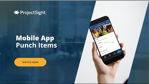 ProjectSight Mobile App: Punch items