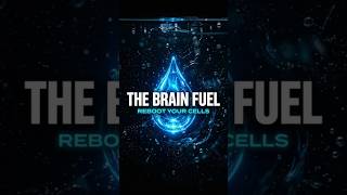 The Mitochondrial Reset Ep 02