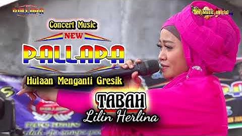 TABAH Lilin Herlina NEW PALLAPA Menganti Gresik