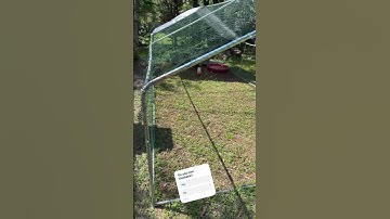 Temu Chicken Coop #temu #chickens #chickentender #diy #diychickencoop