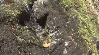 K M 26 05 02 - YouTube