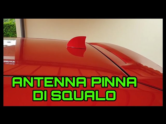 Antenna Pinna Squalo-Antenna Universale per Auto,Antenna Del