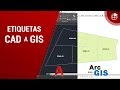 Convertir correctamente Etiquetas de CAD a GIS con ArcGIS 10.6