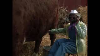 Holiday Heart (2000) - Blue Calls Holiday At The Farm Scene