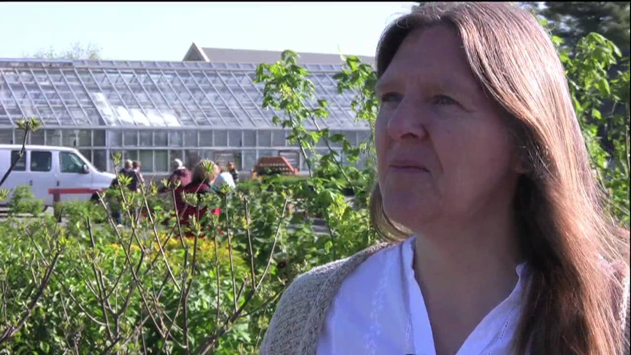 giving up Virginia Tech: Dependent Scholarship