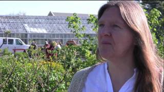 Virginia Tech: Dependent Scholarship