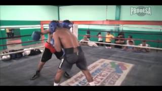 Sparring Roman Gonzalez vs Felix Alvarado - Nov 1,2014 - Videos Prodesa