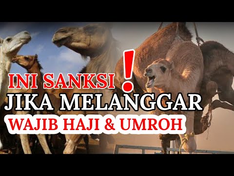 Video: Cara Membayar Semua Denda Di Satu Tempat