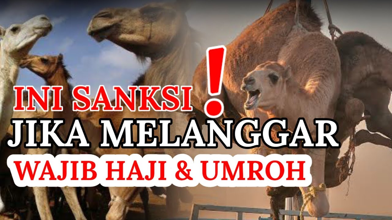 Ternyata Begini DAM / Denda Saat Umroh dan Haji